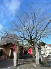 城山稲荷神社(茨城県)