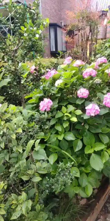 佐竹稲荷神社(東京都)