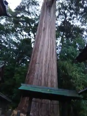 事任八幡宮(静岡県)