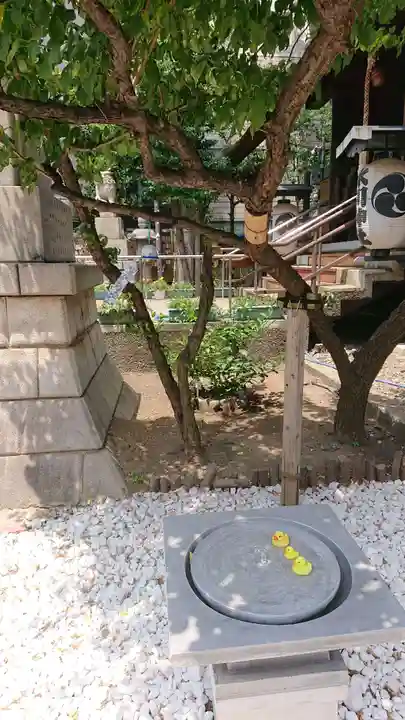 高円寺氷川神社の庭園