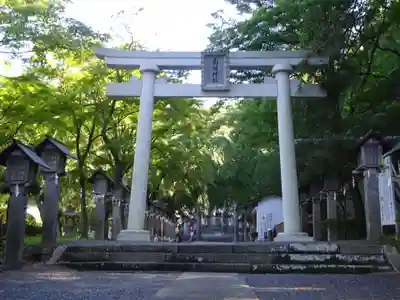 南湖神社の鳥居