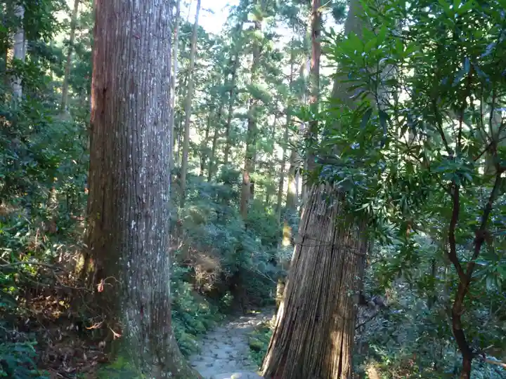 飛瀧神社(熊野那智大社別宮)(和歌山県)