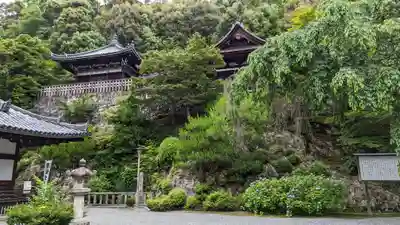 知恩院(京都府)