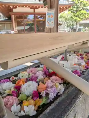 鳩森八幡神社(東京都)