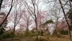 熊野若王子神社の庭園