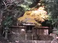白鬚神社の本殿・本堂