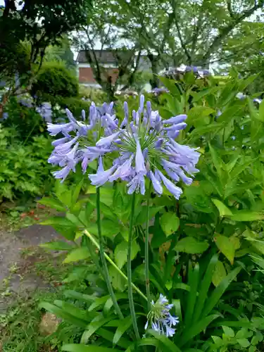 極楽寺(静岡県)