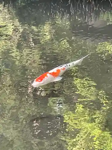 松尾寺(京都府)