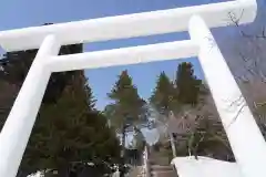 土津神社｜こどもと出世の神さまの鳥居