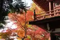 本土寺(千葉県)