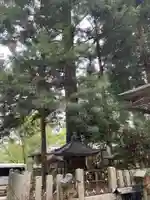 小杉神明社(和歌山県)