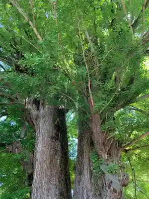 鑁阿寺(栃木県)