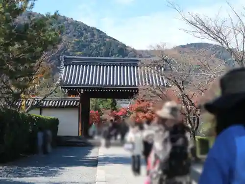 天龍寺の山門