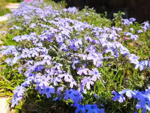 寿量山　速成寺(奈良県)