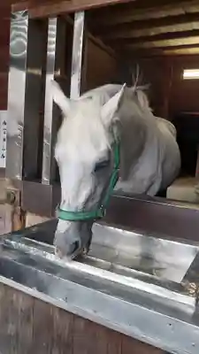 多度大社(三重県)