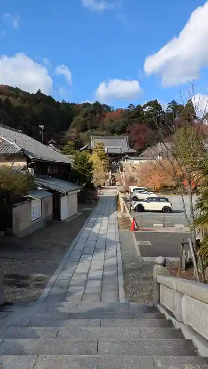 柳谷観音 楊谷寺(京都府)