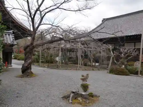 毘沙門堂門跡のその他建物