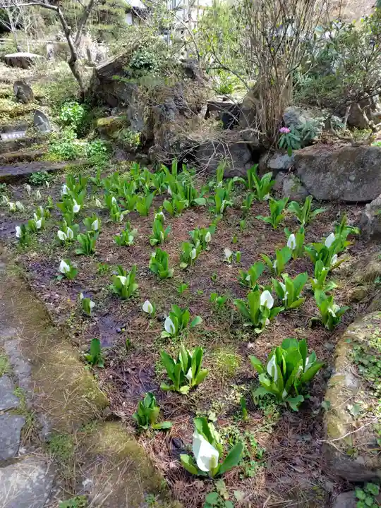 青龍山 吉祥寺(群馬県)
