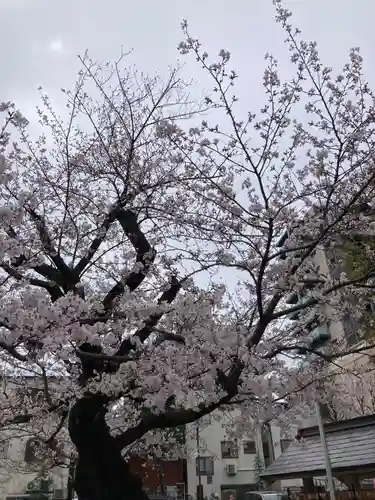 今戸神社(東京都)