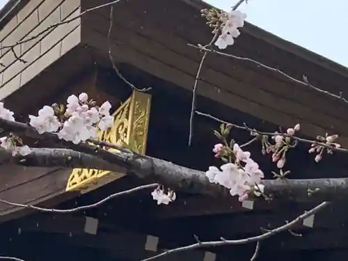 三輪神社の自然