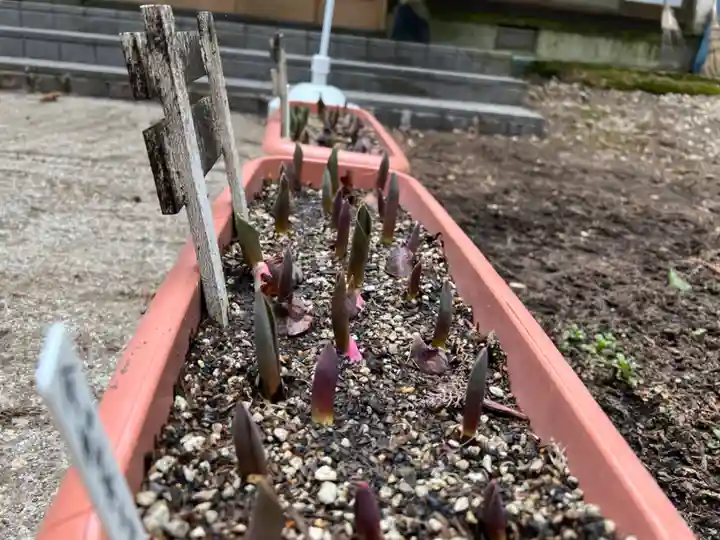 大宮温泉神社の自然