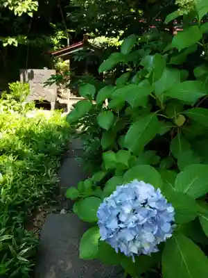 渋谷氷川神社(東京都)