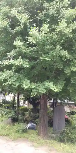 小右衛門稲荷神社(東京都)