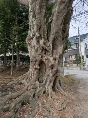 湯倉神社の{uncategorized: "未分類", other: "その他", undefined: "問題あり", building: "その他建物", grave: "お墓", sacred_gate: "鳥居", guardian: "狛犬", statue: "像", buddha: "仏像", history: "歴史", nature: "自然", garden: "庭園", animal: "動物", pagoda: "塔", temizu: "手水舎", mountain_gate: "山門・神門", sanctuary: "本殿・本堂", subordinate: "末社・摂社", art: "芸術", scenery: "景色", jizo: "地蔵", ema: "絵馬", goshuin: "御朱印", omikuji: "おみくじ", items: "授与品その他", amulet: "お守り", goshuincho: "御朱印帳", eats: "食事", festival: "お祭り", votive_dance: "神楽", shichigosan: "七五三参", wedding: "結婚式", experience: "体験その他", initially: "初詣", around: "周辺", anti_infection: "感染症対策"}