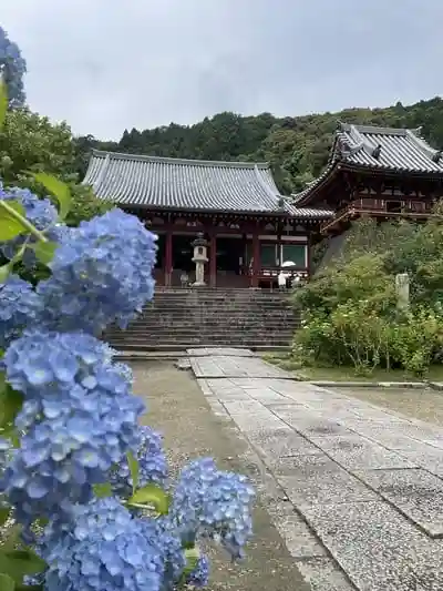 矢田寺の本殿