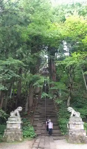 戸隠神社宝光社の狛犬