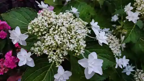 三輪神社の自然