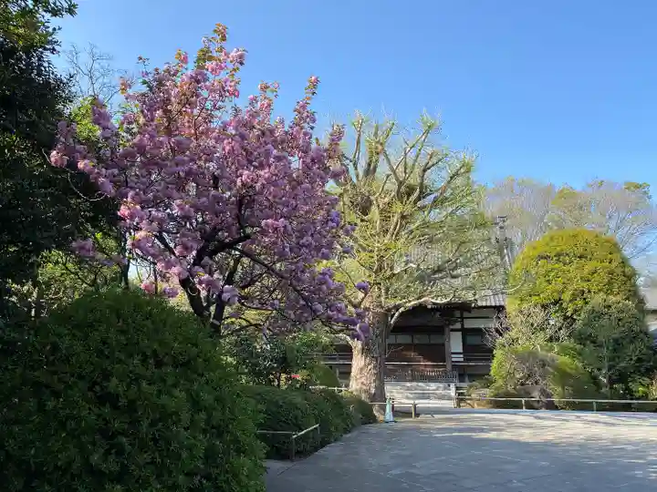 高円寺(東京都)