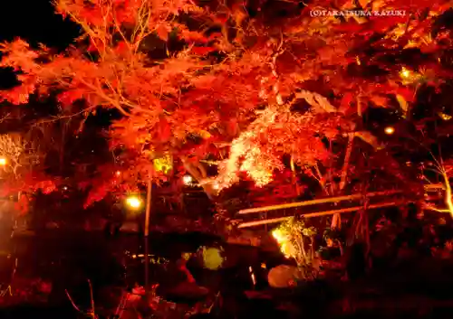 長谷寺(神奈川県)