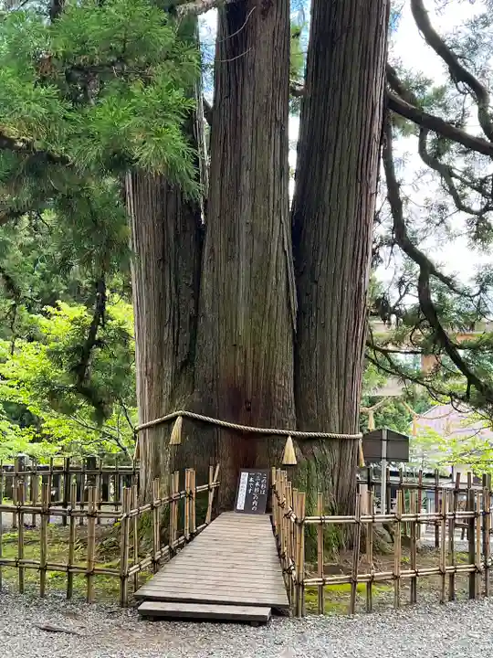 戸隠神社中社(長野県)