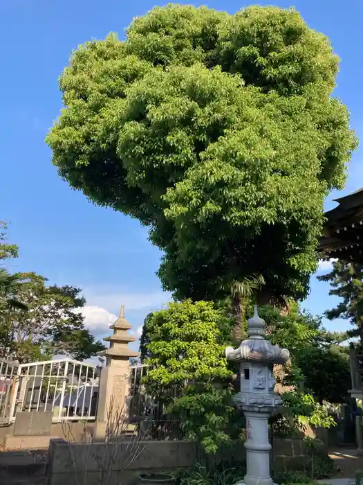 真源寺の建物その他