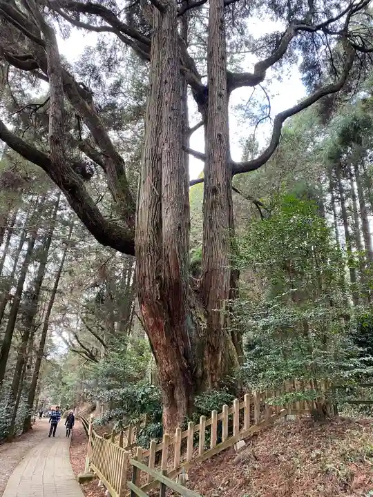 幣立神宮(熊本県)
