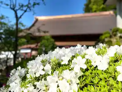座光如来寺（元善光寺）(長野県)