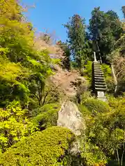 岡寺（龍蓋寺）の建物その他