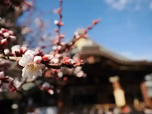 湯島天満宮(東京都)