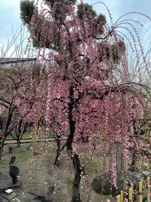綱敷天満宮(兵庫県)