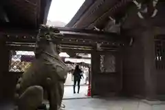 彌彦神社の狛犬