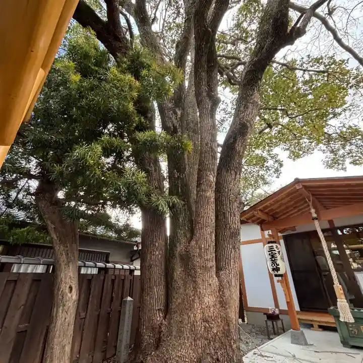 万代寺(大阪府)