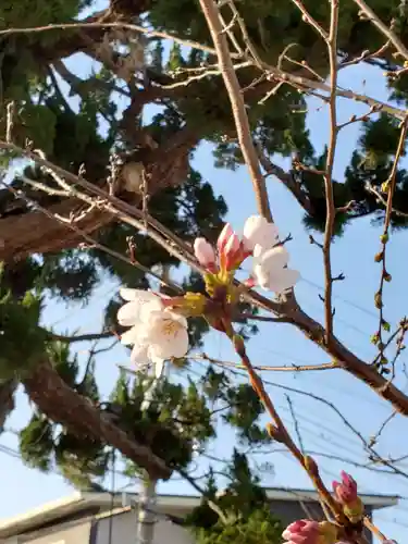 住吉神社の自然