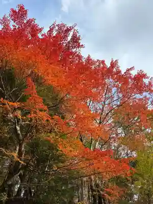 劔山本宮宝蔵石神社(徳島県)