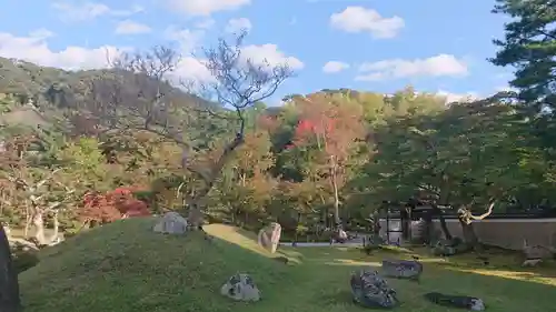 高台寺（高台寿聖禅寺・高臺寺）の景色