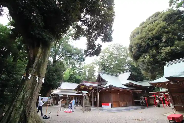 岩槻久伊豆神社の本殿・本堂