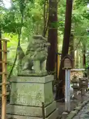 椿大神社の狛犬