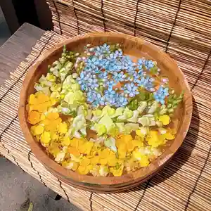 阿邪訶根神社の手水舎(2022年05月19日(木) 22時55分34秒投稿)