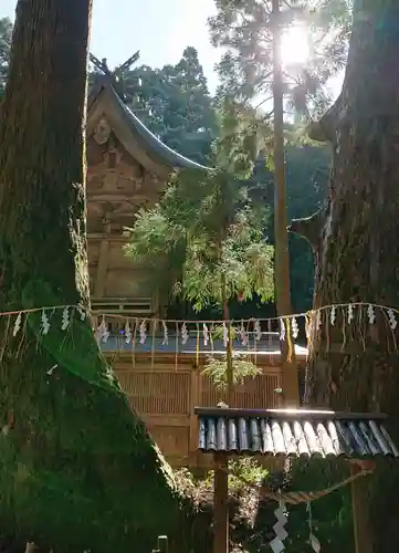 白鳥神社の自然