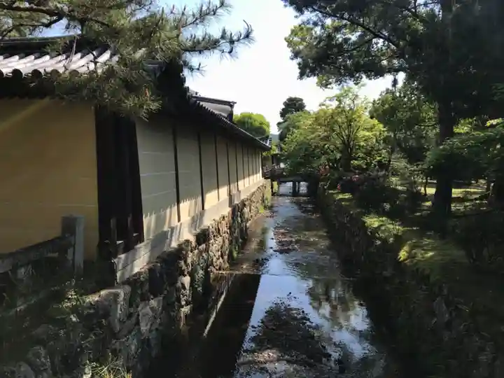 大覚寺(京都府)